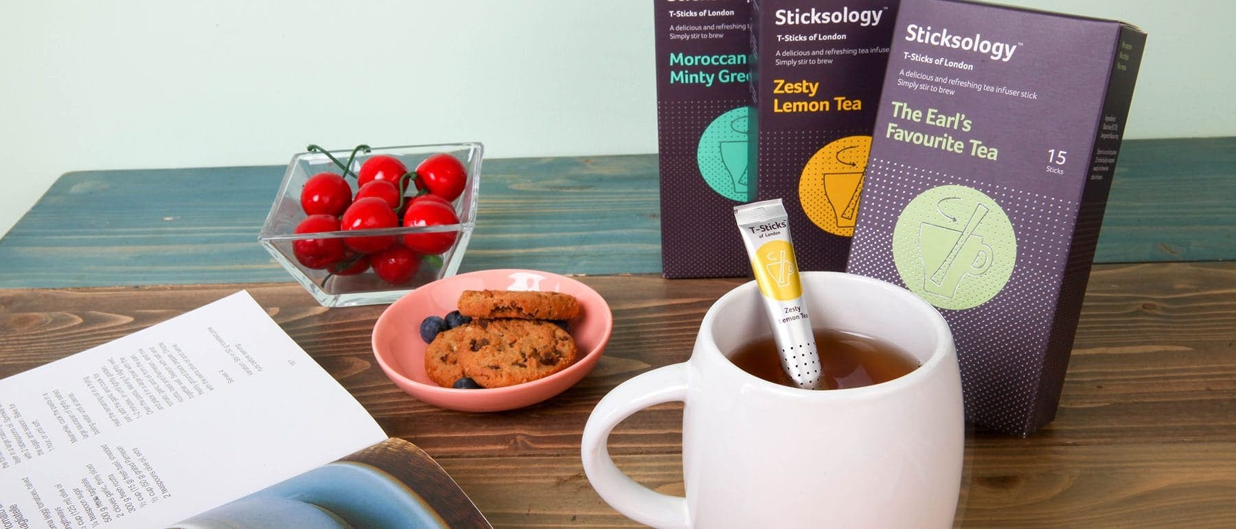 Sticksology Branding Image Used for A2ZTECH Case Study