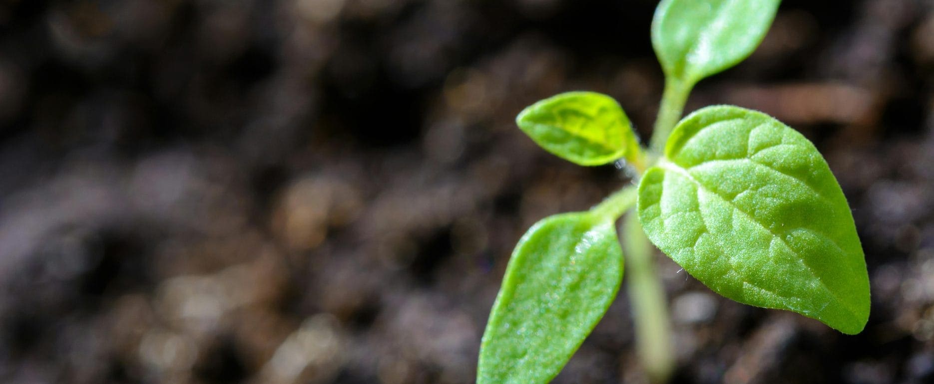 Featured BBC Discover Wildlife Image 3 A2ZTECH